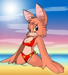 beach bikini foxglove kneeling munkart sea sun sunlight swimsuit // 656x725 // 86.0KB