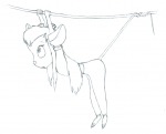 gadget hanging in_tail rope scope sketch // 889x721 // 137.3KB