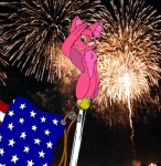 fireworks flag foxglove jdracous photo salute // 390x400 // 80.6KB