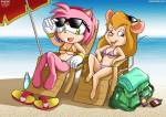 amy_rose bag beach bikini bottle crossover gadget palcomix parasol sea sit slats sunbed sunglasses swimsuit // 1697x1200 // 899.8KB